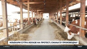 Мљекари смањују производњу за 10%