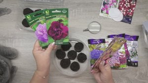 Как экономно посеять петунию в торфяные таблетки. Показываю подробно