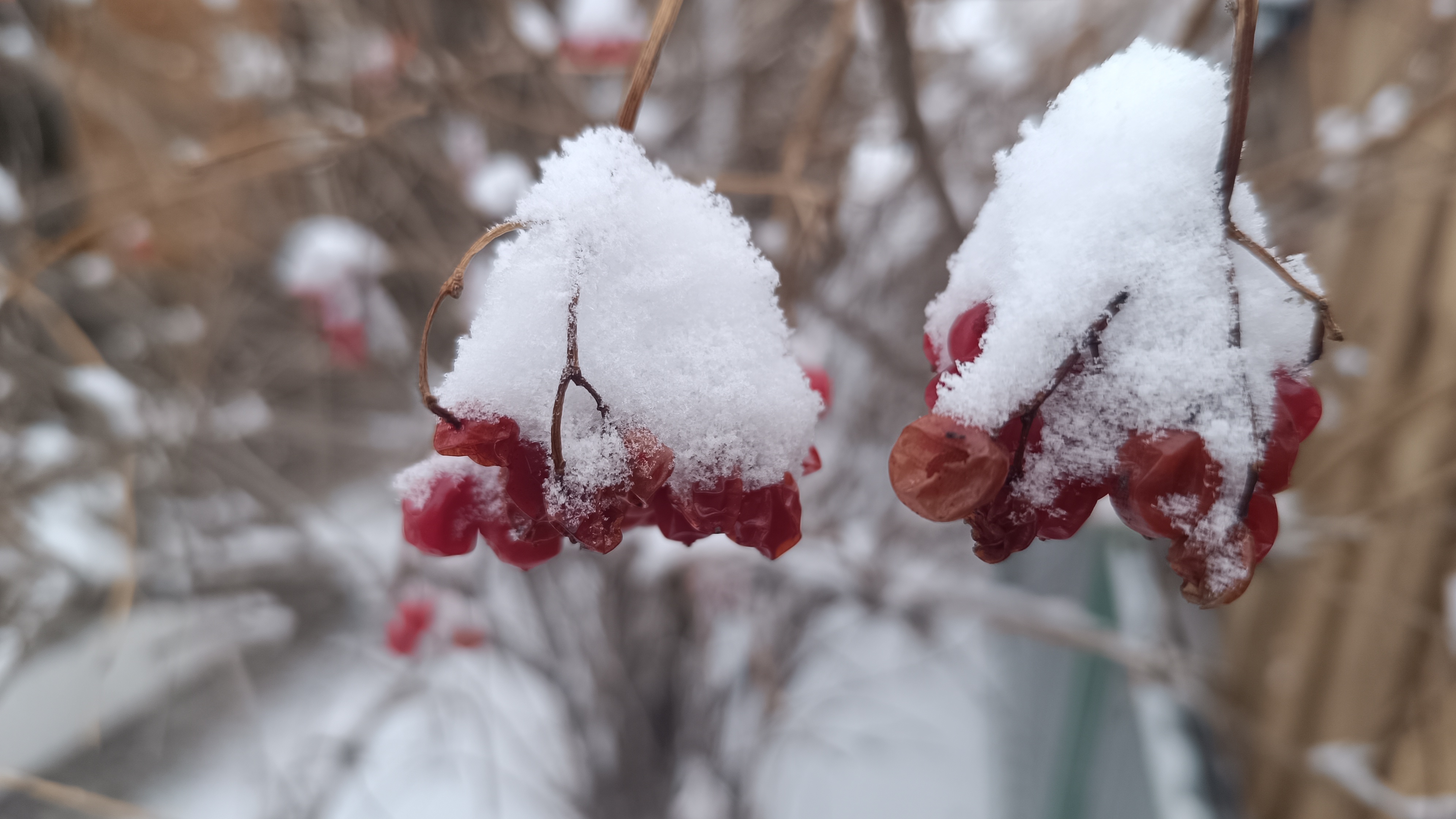 Будни. Подготовка к ярмарки и морозы. Саяногорск Хакасия смотреть онлайн