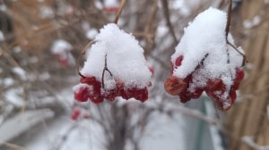 Будни. Подготовка к ярмарки и морозы. Саяногорск Хакасия