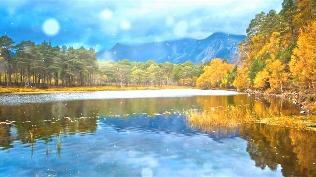 Minich - Chanterelles смотреть онлайн