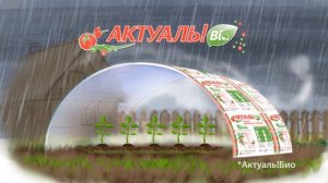 6. SafPlast - Actual!Bio