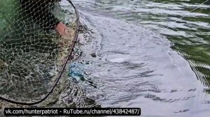 🎣📌 Метод отлова рыбы с использованием дождевых червей | Заготовка крупного карпа на продажу