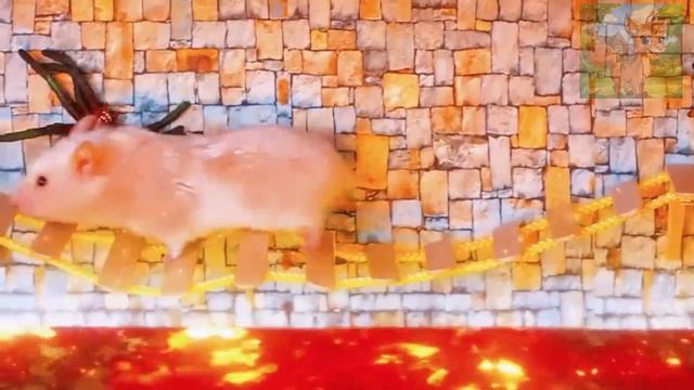 Соревнования маленького хомячка в аквапарке! Так весело! смотреть онлайн