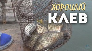 С внуком на рыбалке.  Карась