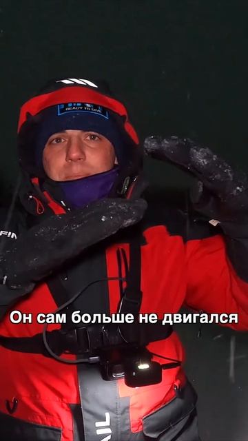 Подлетел и … Встал! А дальше только опыт решает - клюнет он или нет 😎 #teammida смотреть онлайн