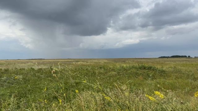 🎼. Игорь Тальков - «Все таки лето» смотреть онлайн