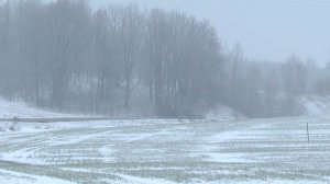 Оттепель и туман в Ереване и Минске. Солнечно и тепло в Кыргызстане. Погода в СНГ