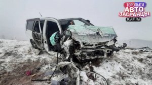 Сударь вот это вы исполнили! Торопыги и Водятлы Зимний период ДТП