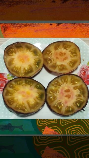 Томат Сибирская радуга т. 89229284031 смотреть онлайн