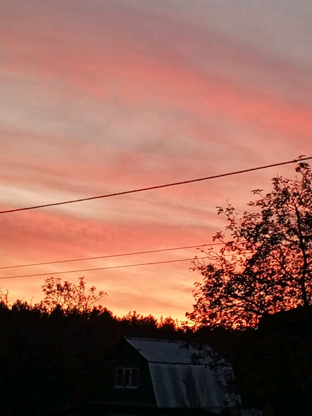 игры смотреть онлайн