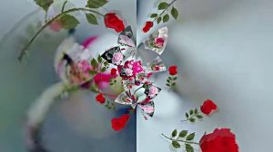 Волшебная Зимняя розовая сказка 5 от Киностудии Мудрого Кота Тимофея!