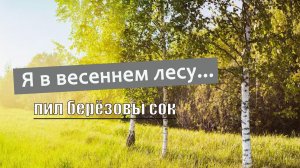 Я в весеннем лесу (Ретро под гитару) Вадим Ибрянов