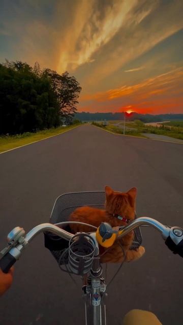 Идеальный вечер выглядит так смотреть онлайн