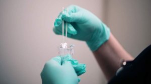 Врач оценил риски завоза вируса Нипах в Россию