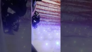 я делаю уроки))