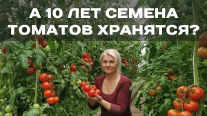 Семена, просыпайтесь! Как проверить их на всхожесть и не прогадать