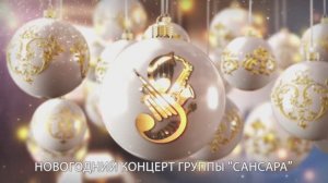 Новогодний концерт Сансары во Внуково (2025)