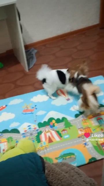 1000002351.mp4 смотреть онлайн