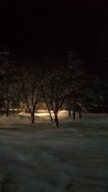 Свет в зарослях смотреть онлайн