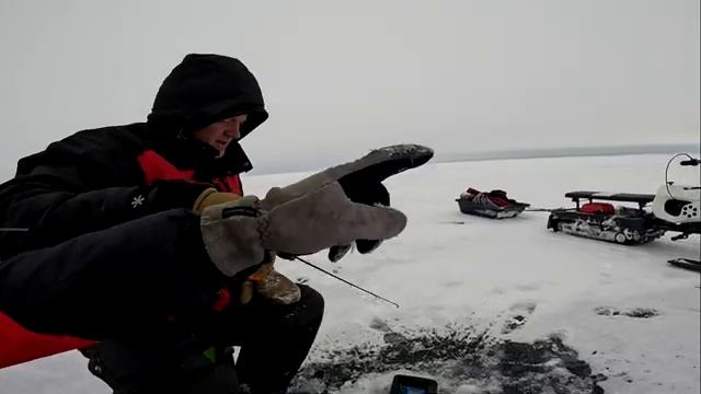 ЛОВЛЯ СУДАКА И ОКУНЯ смотреть онлайн
