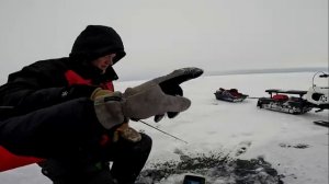 ЛОВЛЯ СУДАКА И ОКУНЯ