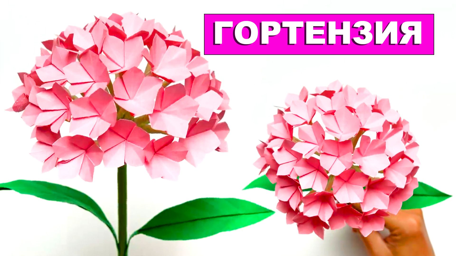 Прекрасная Гортензия из бумаги своими руками. Бумажные цветы. Красивый цветок из бумаги смотреть онлайн