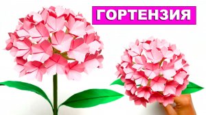 Прекрасная Гортензия из бумаги своими руками 🌼 Красивый оригами цветок из бумаги