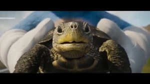 Соник заставляет черепаху летать! | Соник в кино (2020) | Ёжик тестирует свою скорость в городе