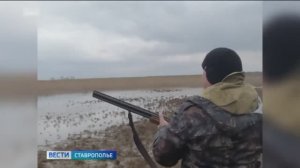 Сезон охоты на водоплавающую дичь на Ставрополье завершен