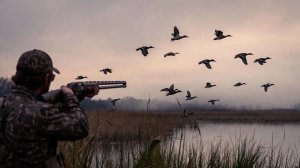 🔴BULT Simulator охоты🔴#3