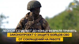 Леонов: ГД может до конца февраля принять законопроект о защите бойцов СВО от сокращений на работе