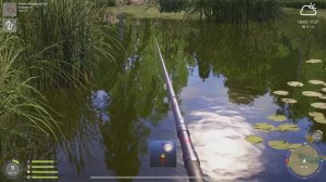 СЕРИЯ 1,РР4 КОМАРИНОЕ Ерш