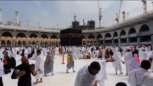 КАК ЗАСЕЛЯЛИ ПУСТЫЕ ГОРОДА ПОСЛЕ ГЛОБАЛЬНОЙ КАТАСТРОФЫ .