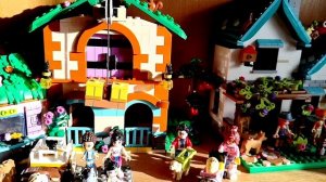 Завели медузомицет - чайный гриб Комбуча.