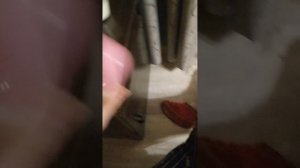 влог наш вечер с Василисой