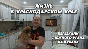 1072 Как мы живём после переезда/Напекла чебуреков/Делаю домашний коньяк/Приезжали подписчики