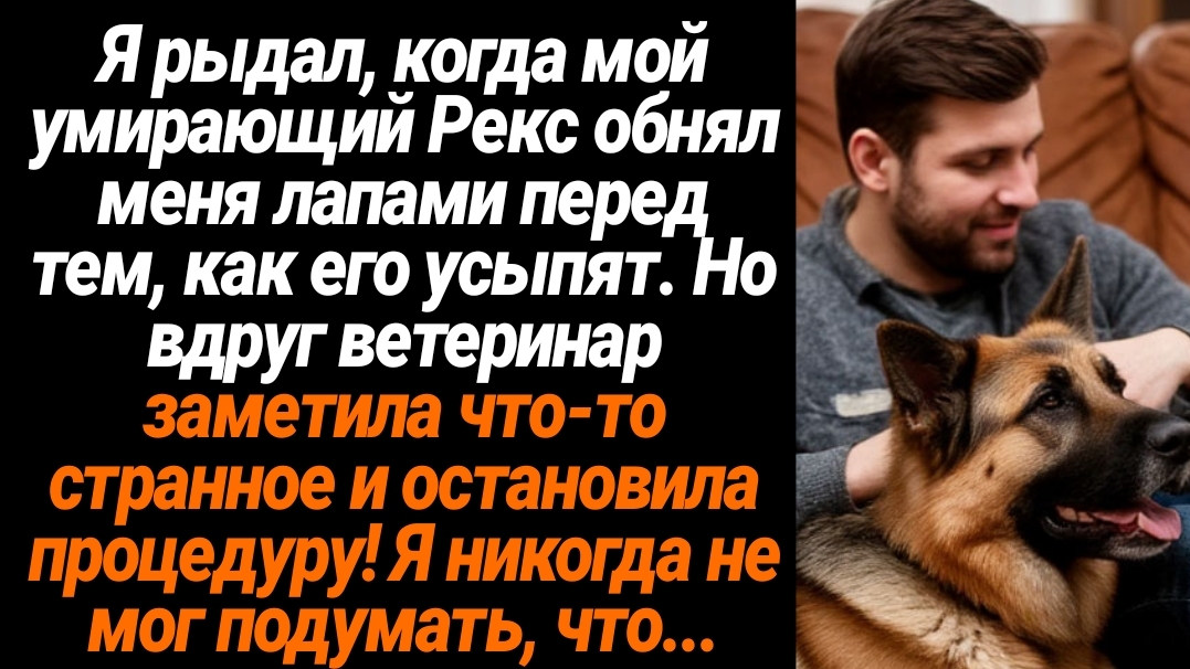 Жизненные Истории/Я рыдал, когда мой умирающий пёс обнял меня, перед тем, как его усыпят смотреть онлайн