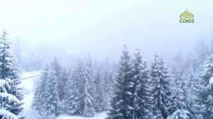 Стихи над миром. Стихотворения Зинаиды Миркиной