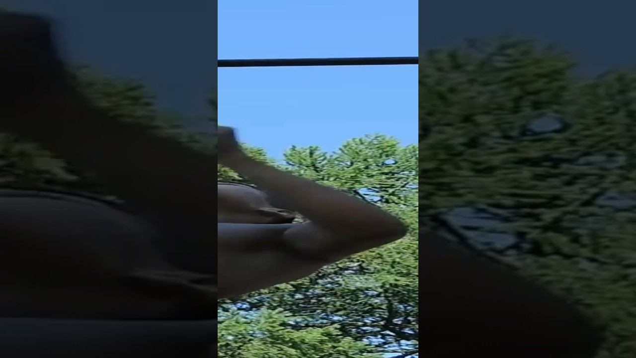 2 one arm pull ups deadstop смотреть онлайн