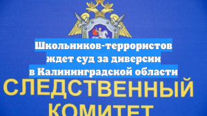 Школьников-террористов ждет суд за диверсии в Калининградской области