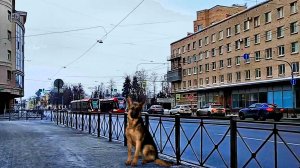 Прогулка... ( Санкт-Петербург, Среднеохтинский проспект )