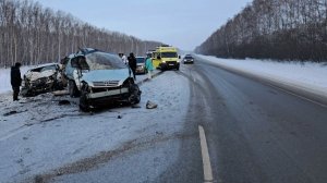 Аварии и ДТП на дорогах ТОРОПЫГИ за рулем