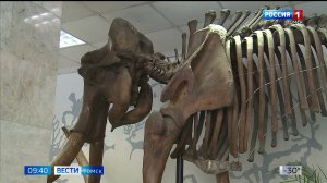 Вести-Томск, выпуск от 26.01.2026 09:30