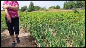 Уральские будни/ июль2025