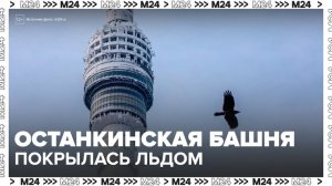 Останкинская башня покрылась льдом из-за крепких морозов в Москве - Москва 24