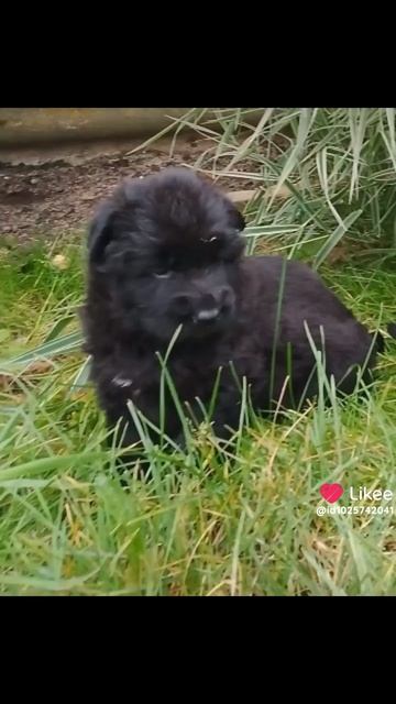 1000146552.mp4 смотреть онлайн