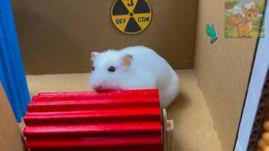 Хомячки против зомби! Сам доктор Зомби вступает в схватку!