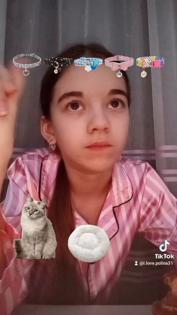 собрала кота 😽 смотреть онлайн