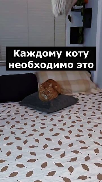 Артикул Я.Маркет 👉 YM10204880 (не забудь при поиске YM) смотреть онлайн